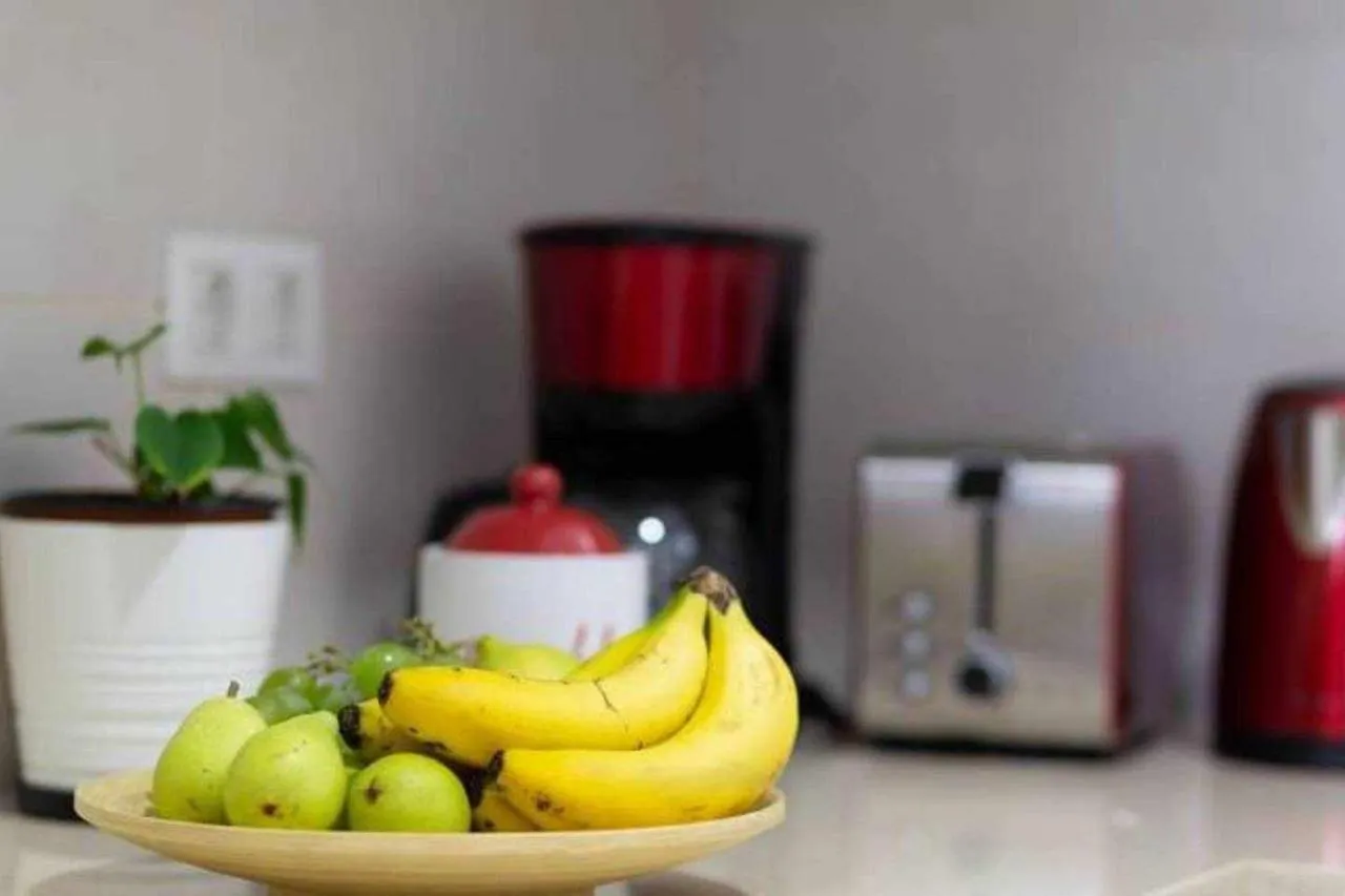 CÉNTRICA VIVIENDA VACACIONAL EN SANTA CRUZ WiFi ILIMITADO Apartamento  Santa Cruz de Tenerife